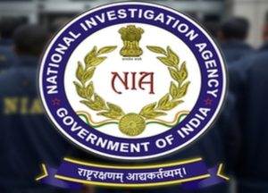 Logo NIA